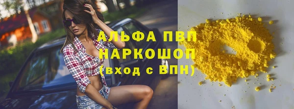 сатива Заволжье