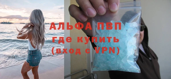 сатива Заволжье