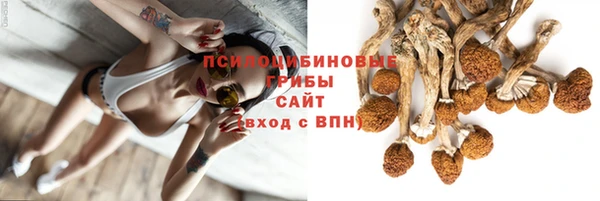 сатива Заволжье