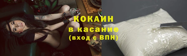 сатива Заволжье
