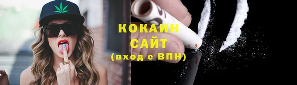 сатива Заволжье