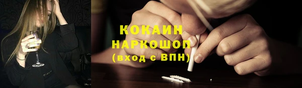 mdpv Заводоуковск
