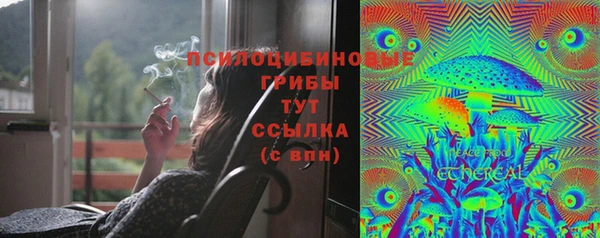 сатива Заволжье