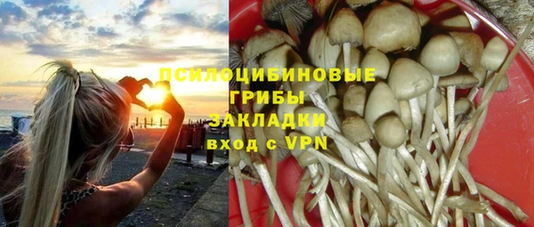 mdpv Заводоуковск