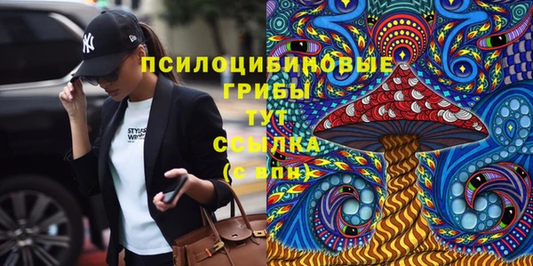 сатива Заволжье