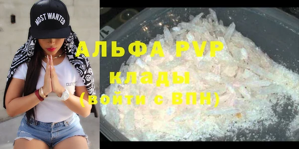 сатива Заволжье
